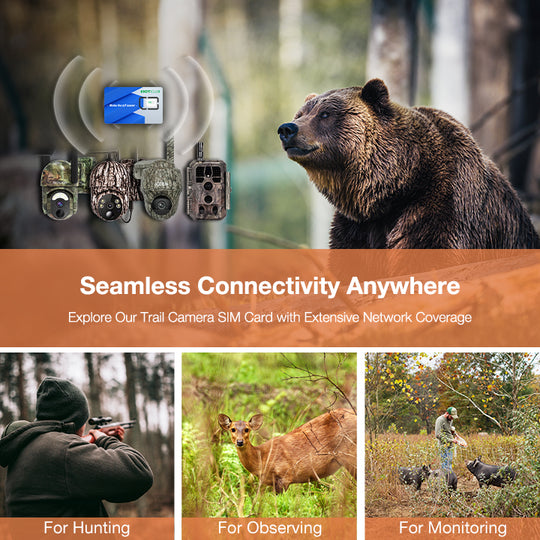 4G SIM card for trail cameras, ideal for wildlife monitoring and remote connectivity.