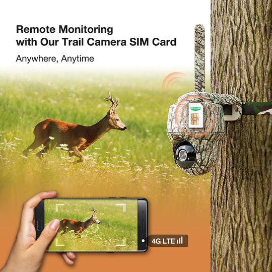 Trail camera with 4G SIM card for remote wildlife monitoring anywhere. Remote Monitoring with Our Trail Camera SIM Card