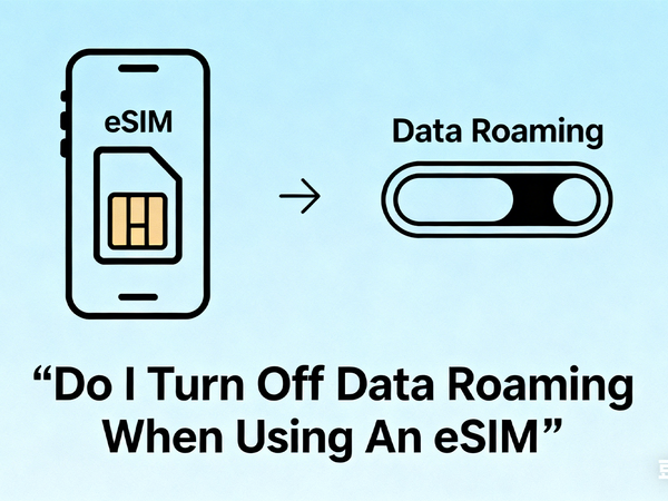 eSIM icon with arrow pointing to a data roaming switch.