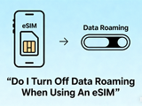 eSIM icon with arrow pointing to a data roaming switch.